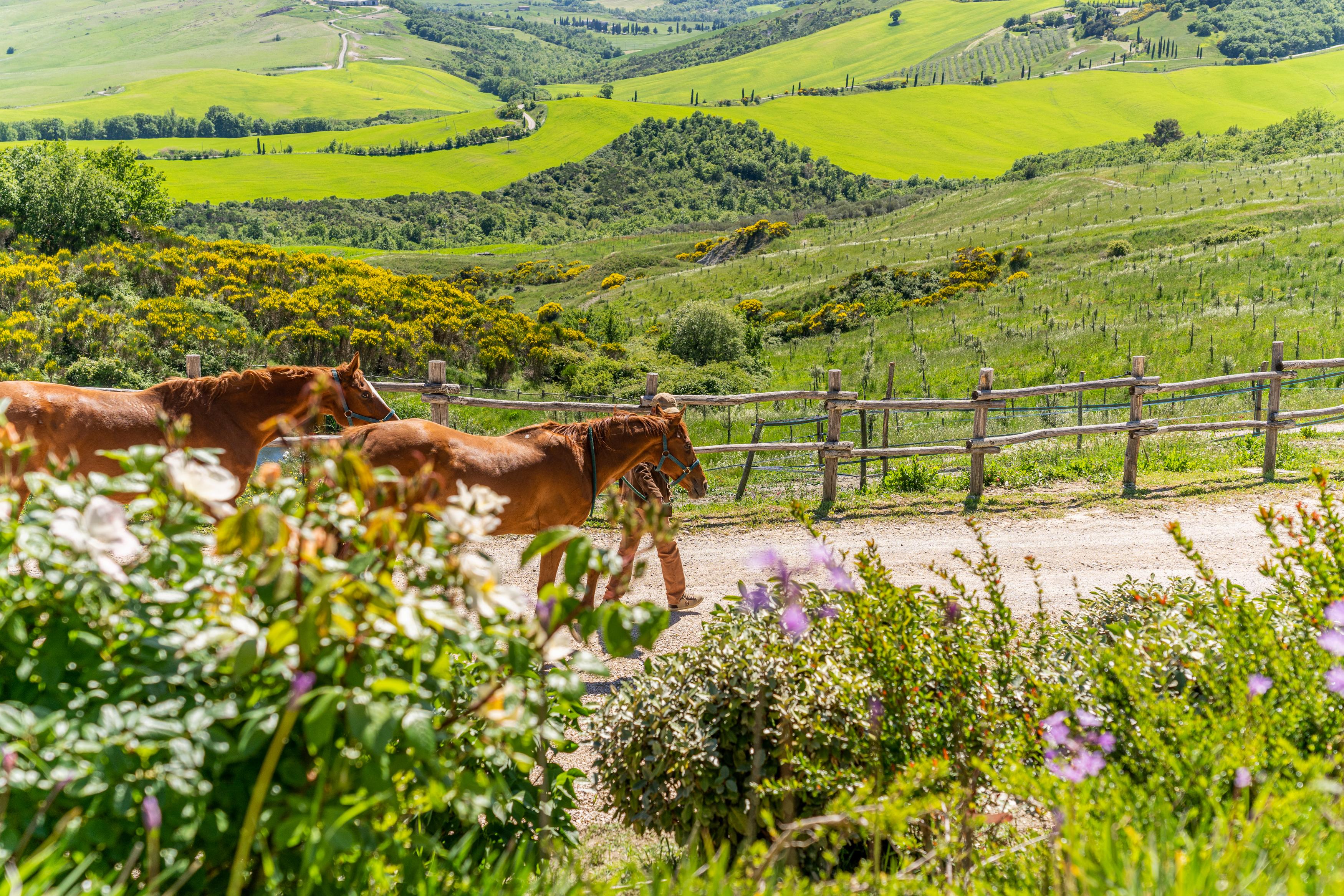 Podere Val D'Orcia - Tuscany Equestrian Sarteano Εξωτερικό φωτογραφία