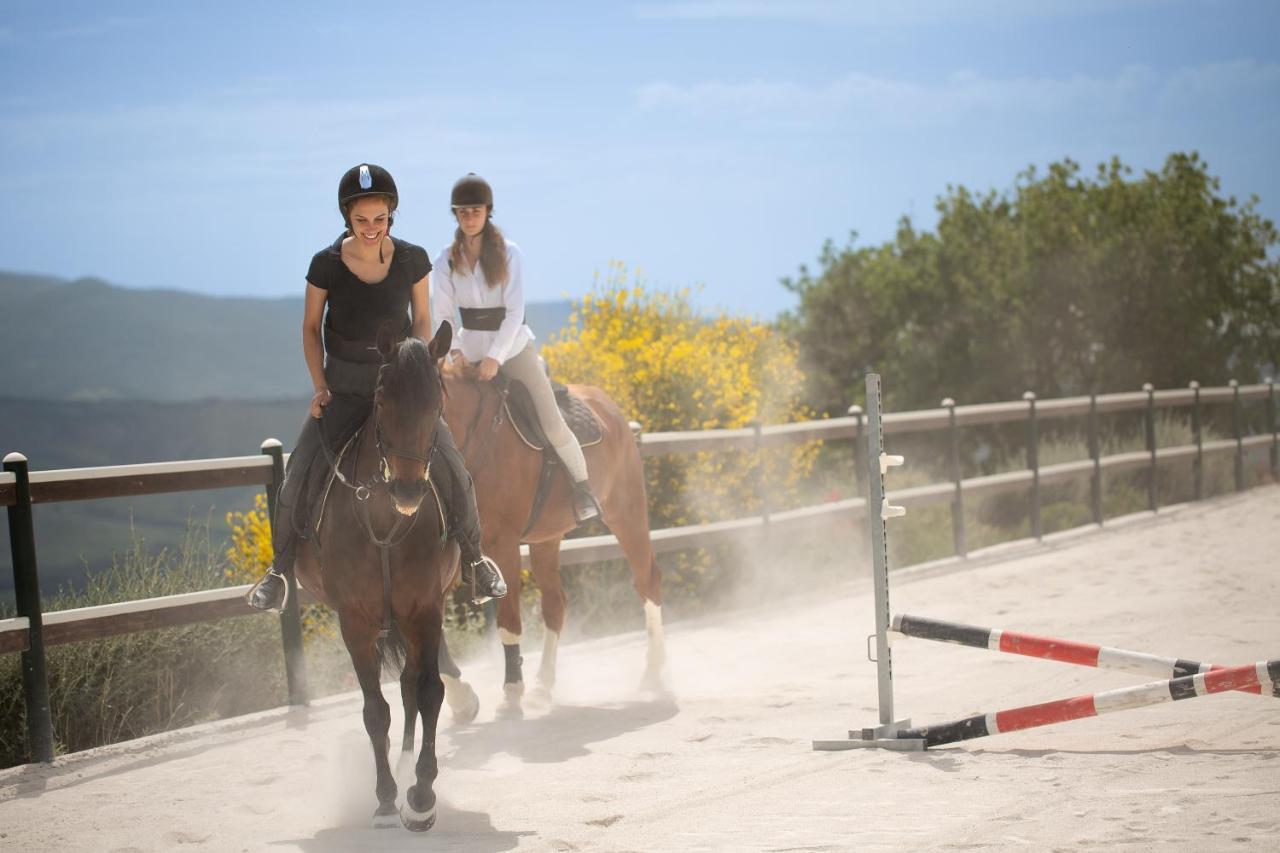 Podere Val D'Orcia - Tuscany Equestrian Sarteano Εξωτερικό φωτογραφία