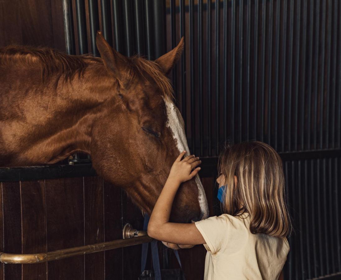 Podere Val D'Orcia - Tuscany Equestrian Sarteano Εξωτερικό φωτογραφία